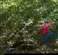 Iluka Rainforest Walking Track - Northern Rivers Accommodation