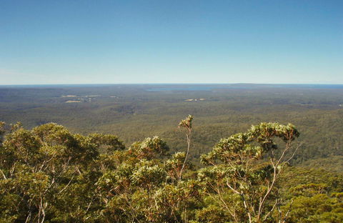 Jerrawangala Lookout - Northern Rivers Accommodation 0