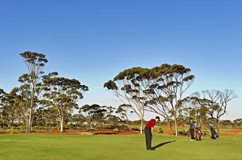 Kalgoorlie Golf Course - Northern Rivers Accommodation 2