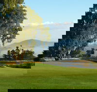Kangaroo Tours at Gisborne Golf Club Inc - Northern Rivers Accommodation