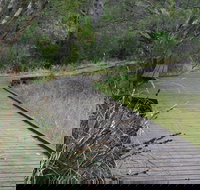 Leschenault Peninsula Conservation Park - Northern Rivers Accommodation