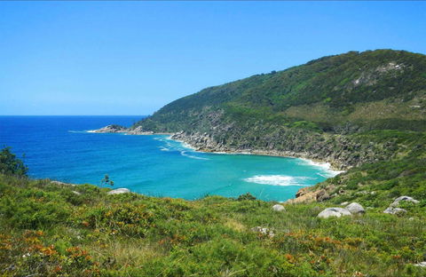 Little Bay Beach - Northern Rivers Accommodation 0