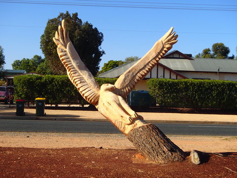 Loxton Tree Sculptures - Northern Rivers Accommodation 0