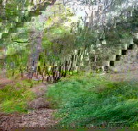 Meroo Lake walking track - Northern Rivers Accommodation