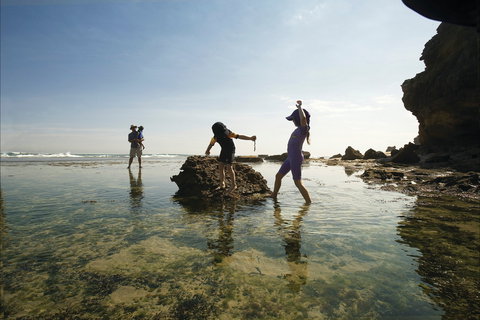 Mornington Peninsula National Park - Northern Rivers Accommodation 2