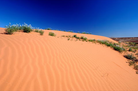Munga-Thirri - Simpson Desert Conservation Park And Regional Reserve - Northern Rivers Accommodation 1