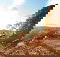 Natural Sciences Loop - Northern Rivers Accommodation
