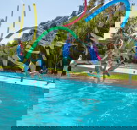 Oaklands War Memorial Swimming Pool - Northern Rivers Accommodation