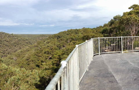 O'Hares Creek Lookout - Northern Rivers Accommodation 0
