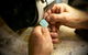 Opal Diamond Factory - thumb 0