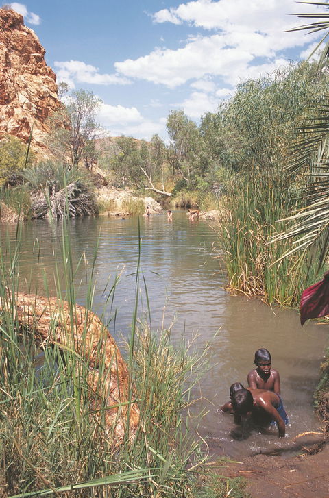 Palm Springs - Northern Rivers Accommodation 0