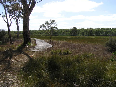Penola Conservation Park - Northern Rivers Accommodation 0