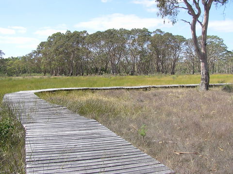 Penola Conservation Park - Northern Rivers Accommodation 1