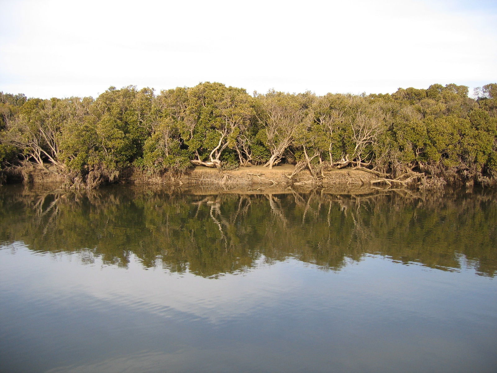 Yorke Peninsula SA Northern Rivers Accommodation