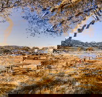 Rennix walking track - Northern Rivers Accommodation