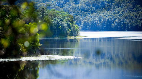 Rocky Creek Dam - Northern Rivers Accommodation 0