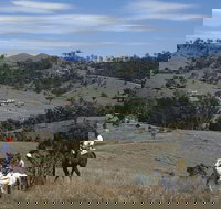 Rosebrook - Northern Rivers Accommodation