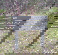 Salisbury Falls Walk - Northern Rivers Accommodation