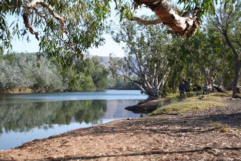Silent Grove - Northern Rivers Accommodation 0