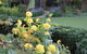The Bath House Garden - thumb 1