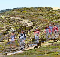 The Sole Walk at Hillocks Drive - Northern Rivers Accommodation