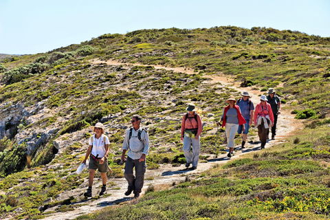 The Sole Walk At Hillocks Drive - Northern Rivers Accommodation 0