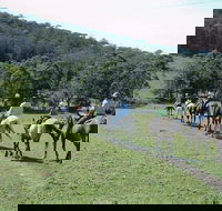 Timbertops - Horse Riding - Northern Rivers Accommodation