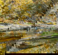 Warrabah National Park - Northern Rivers Accommodation