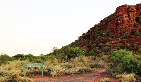 Whyalla Conservation Park - Northern Rivers Accommodation 0