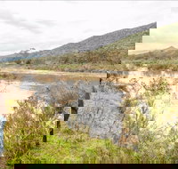 Willis picnic area - Northern Rivers Accommodation