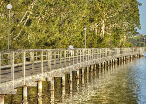 Apex Park Picnic Area Narooma - Northern Rivers Accommodation 1