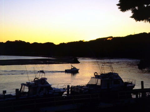 Apex Park Picnic Area Narooma - Northern Rivers Accommodation 2