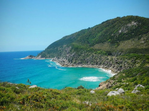 Arakoon National Park - Northern Rivers Accommodation 0
