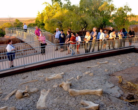 Australian Age Of Dinosaurs - Northern Rivers Accommodation 0