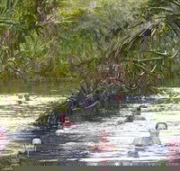 Berry Springs - Northern Rivers Accommodation