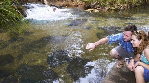 Berry Springs - Northern Rivers Accommodation 1