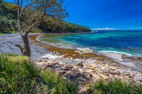 Burns Bay - Northern Rivers Accommodation 0