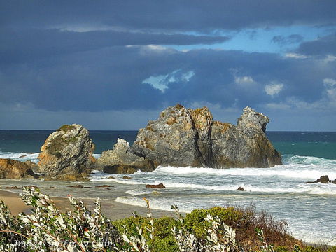 Camel Rock - Northern Rivers Accommodation 2