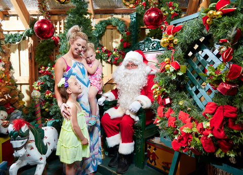 Christmas Tree Farm - Northern Rivers Accommodation 2