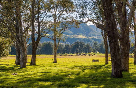 Coast To The Highlands Scenic Drive – Kangaroo Valley - Northern Rivers Accommodation 0