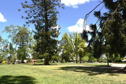 Collins Park - Northern Rivers Accommodation 2