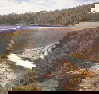 Collie - Northern Rivers Accommodation