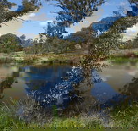 Cooleman Ridge - Northern Rivers Accommodation