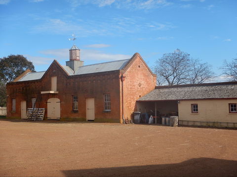 Cooma Cottage - Northern Rivers Accommodation 1