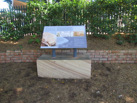 Coxs Road Interpretive Trail - Northern Rivers Accommodation 0