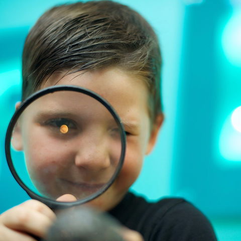 CSIRO Discovery Centre - Northern Rivers Accommodation 0