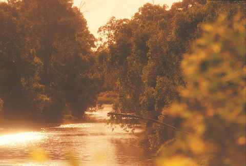 Donnybrook - Northern Rivers Accommodation 0