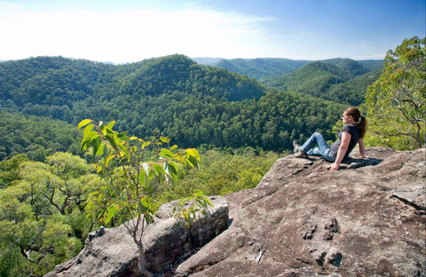 Dubbo Gully Loop Trail - Northern Rivers Accommodation 0