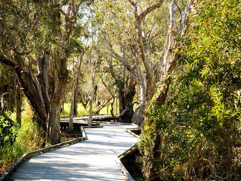 Eagleby Wetlands - Northern Rivers Accommodation 1