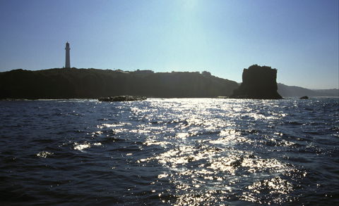 Eagle Rock Marine Sanctuary - Northern Rivers Accommodation 2